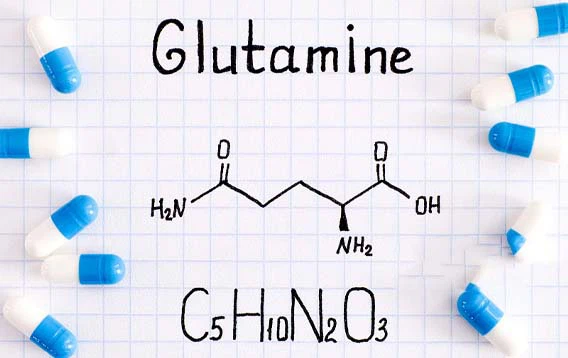 L-Glutamine Powder-5 L-Glutamine Powder-5