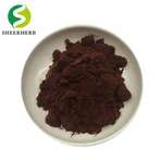 Poudre d'anthocyane à 95 % OPC