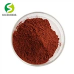 Extrait de pépins de raisin en poudre proanthocyanidine