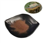 Extrait de Phellinus Linteus