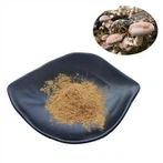 Extrait de champignon shiitake