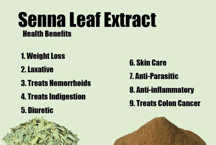 Competitive Price Senna Leaf Extract 20% Senna Leaf Gnc Sennoside