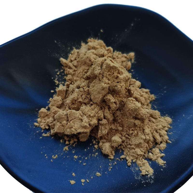 Organic Agaricus blazei extract powder 