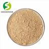 Dandelion Extract Powder