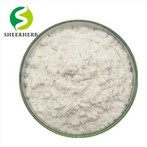 Poudre d'huile MCT