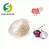 Onion Extract