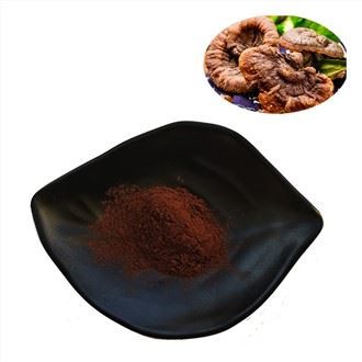 Extrait de poudre de Ganoderma Lucidum d'Orgain