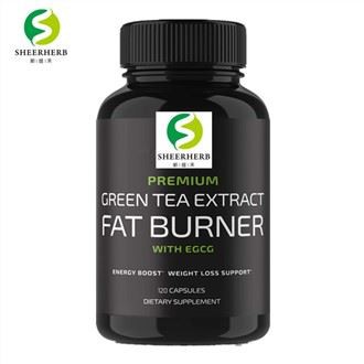 Gélules de thé vert Slim L-carnitine
