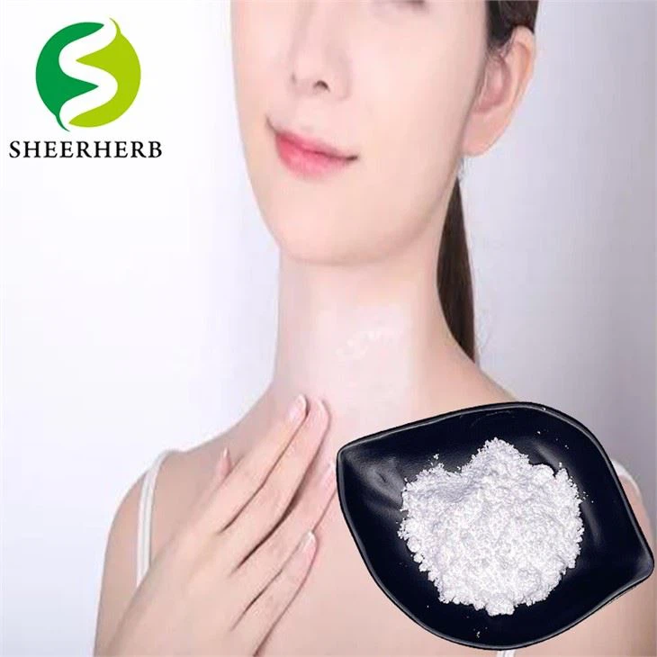 Soue Blanche de poudre