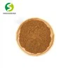 chaga mushroom-1