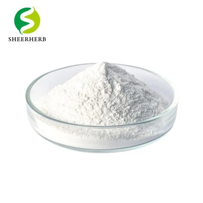 L-Glutamine Powder