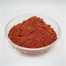 Meilleur supplément de ferritine