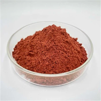 Meilleur supplément de ferritine